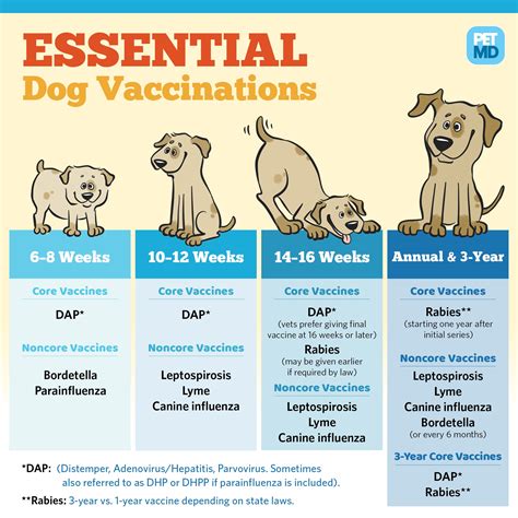 What Is The Cost Of Puppy Vaccinations? - 2023 Guide!